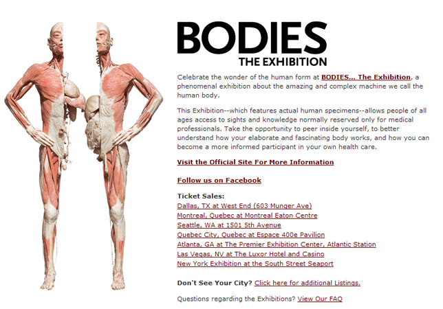 Bodies