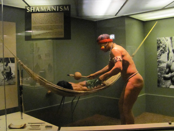 Natural_History_02