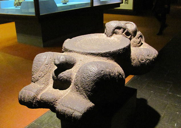 Natural_History_04
