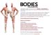 Bodies